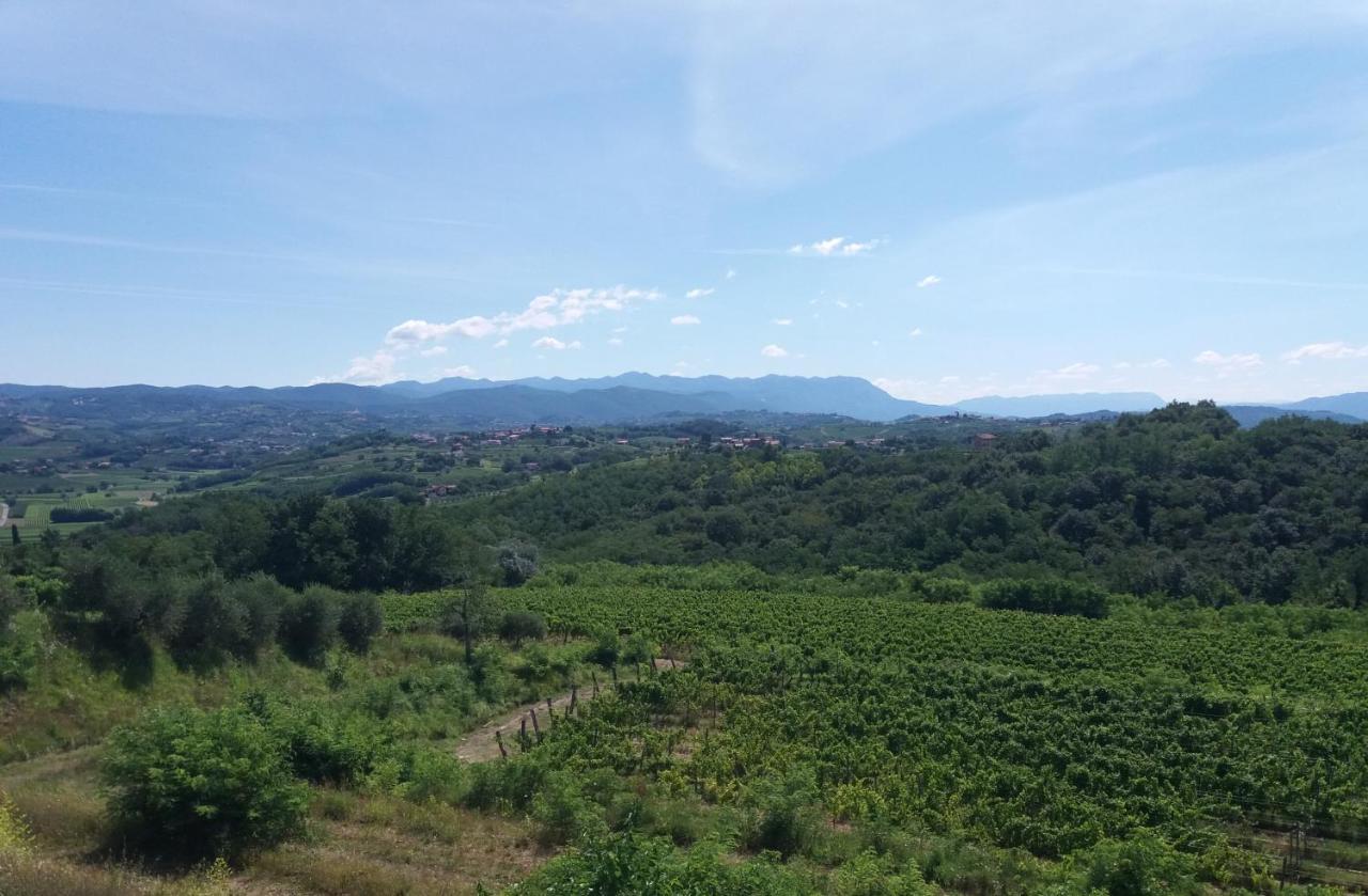 Agriturismo Casa Delle Rose Winery Ruttàrs Eksteriør bilde