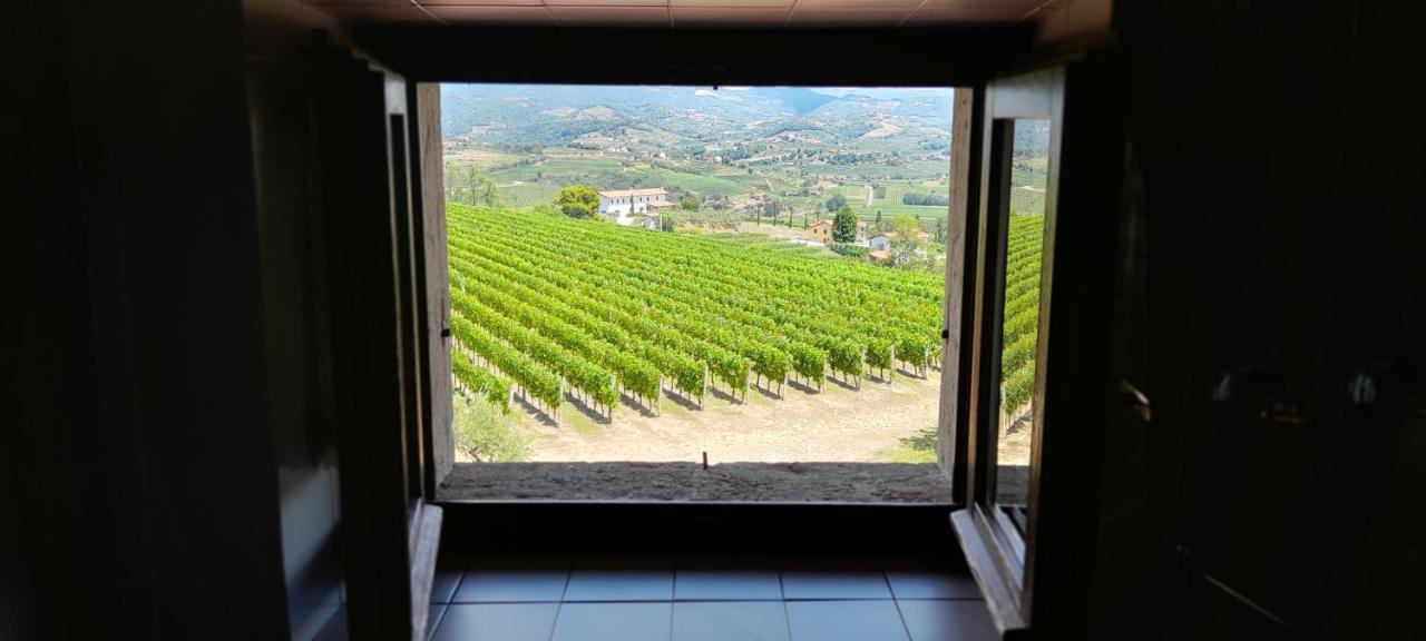 Agriturismo Casa Delle Rose Winery Ruttàrs Eksteriør bilde