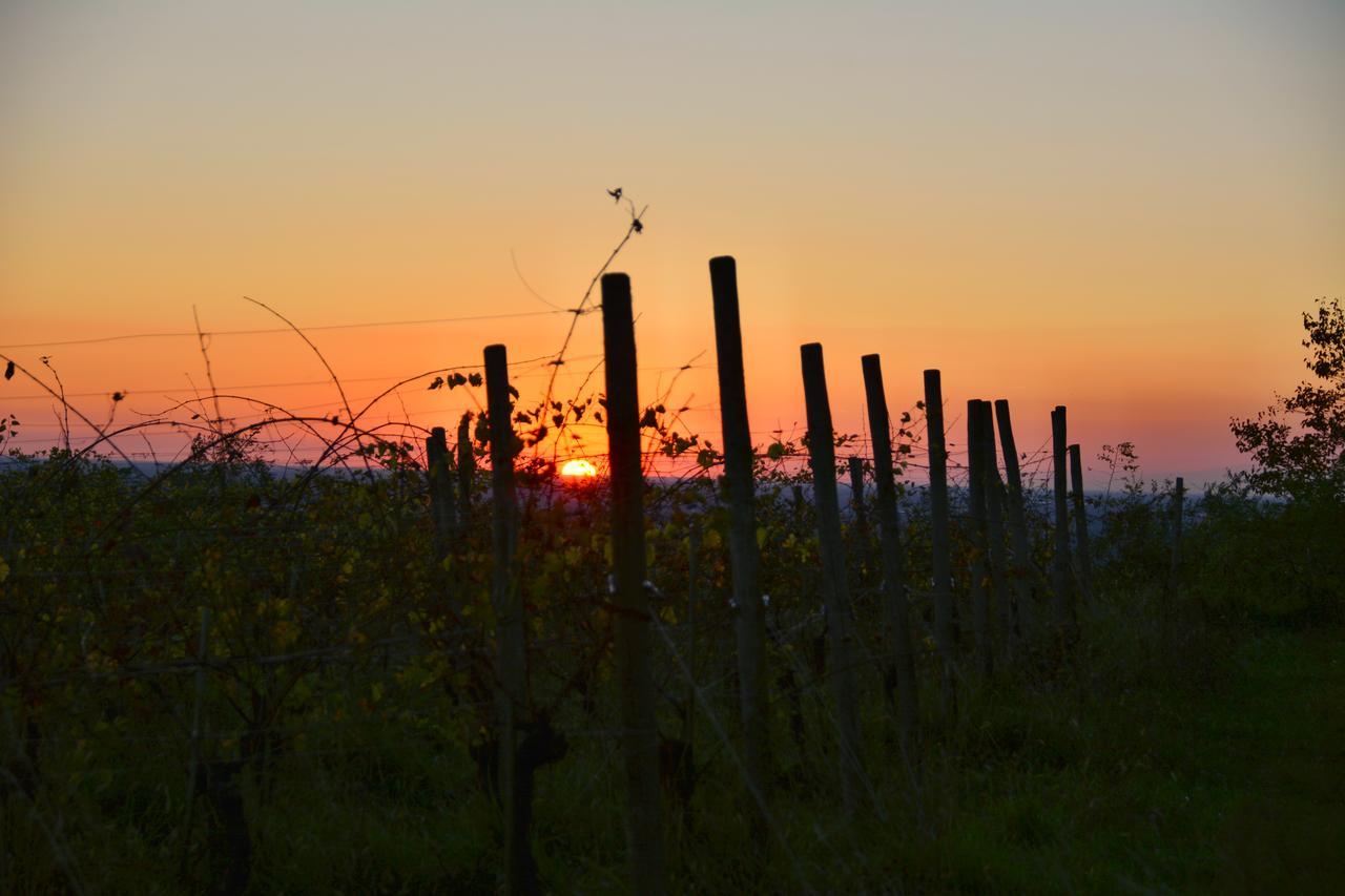Agriturismo Casa Delle Rose Winery Ruttàrs Eksteriør bilde